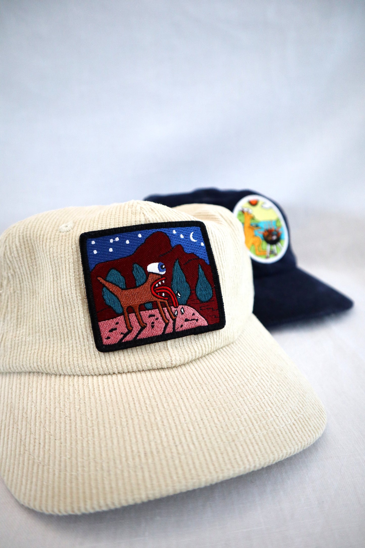 Space Dog by Reg Mombassa