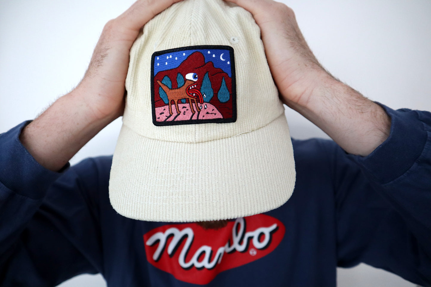 Space Dog by Reg Mombassa