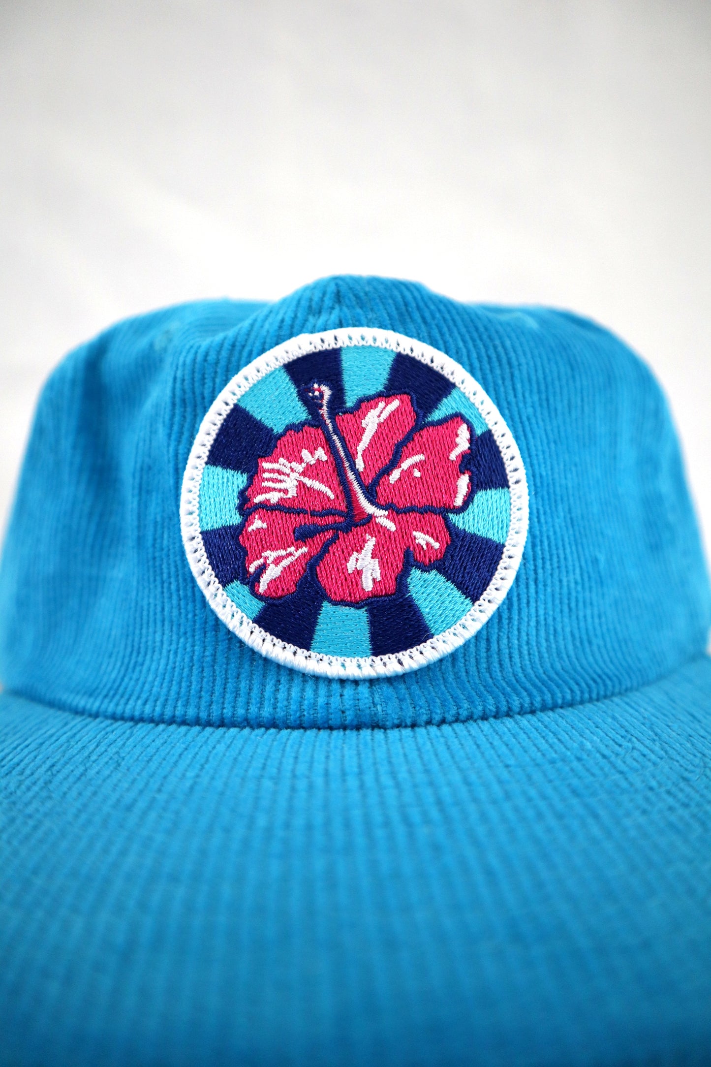 Hot Pink Hibiscus by Rosie Rushton