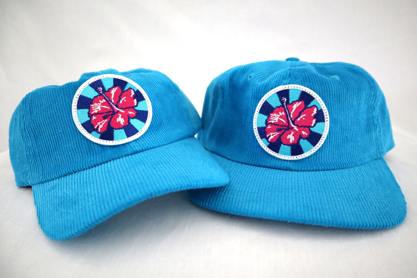 Hot Pink Hibiscus by Rosie Rushton