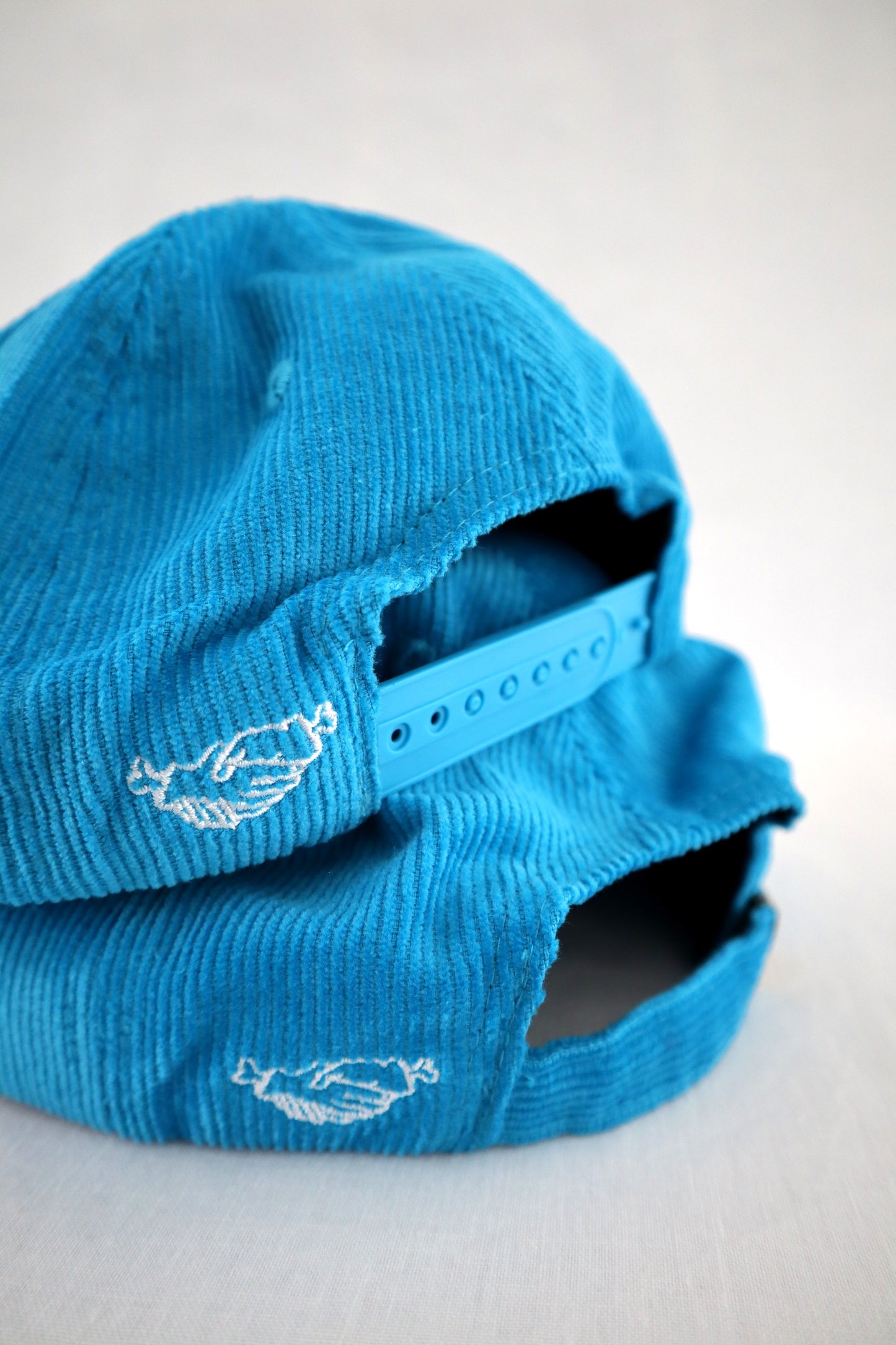 Hot Pink Hibiscus by Rosie Rushton