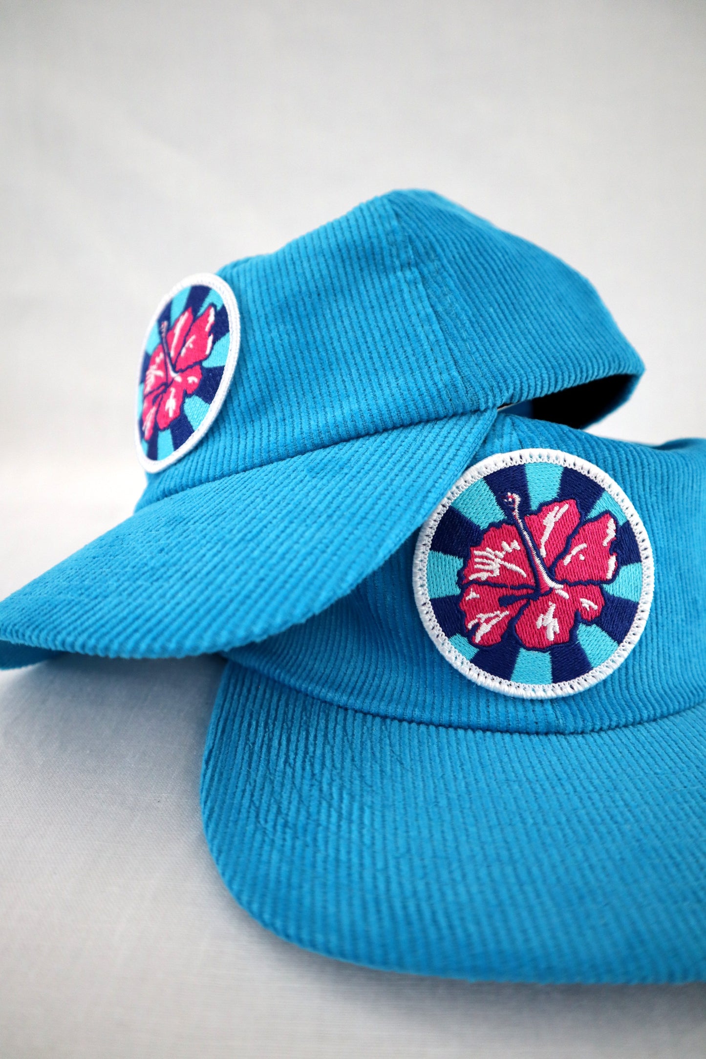 Hot Pink Hibiscus by Rosie Rushton