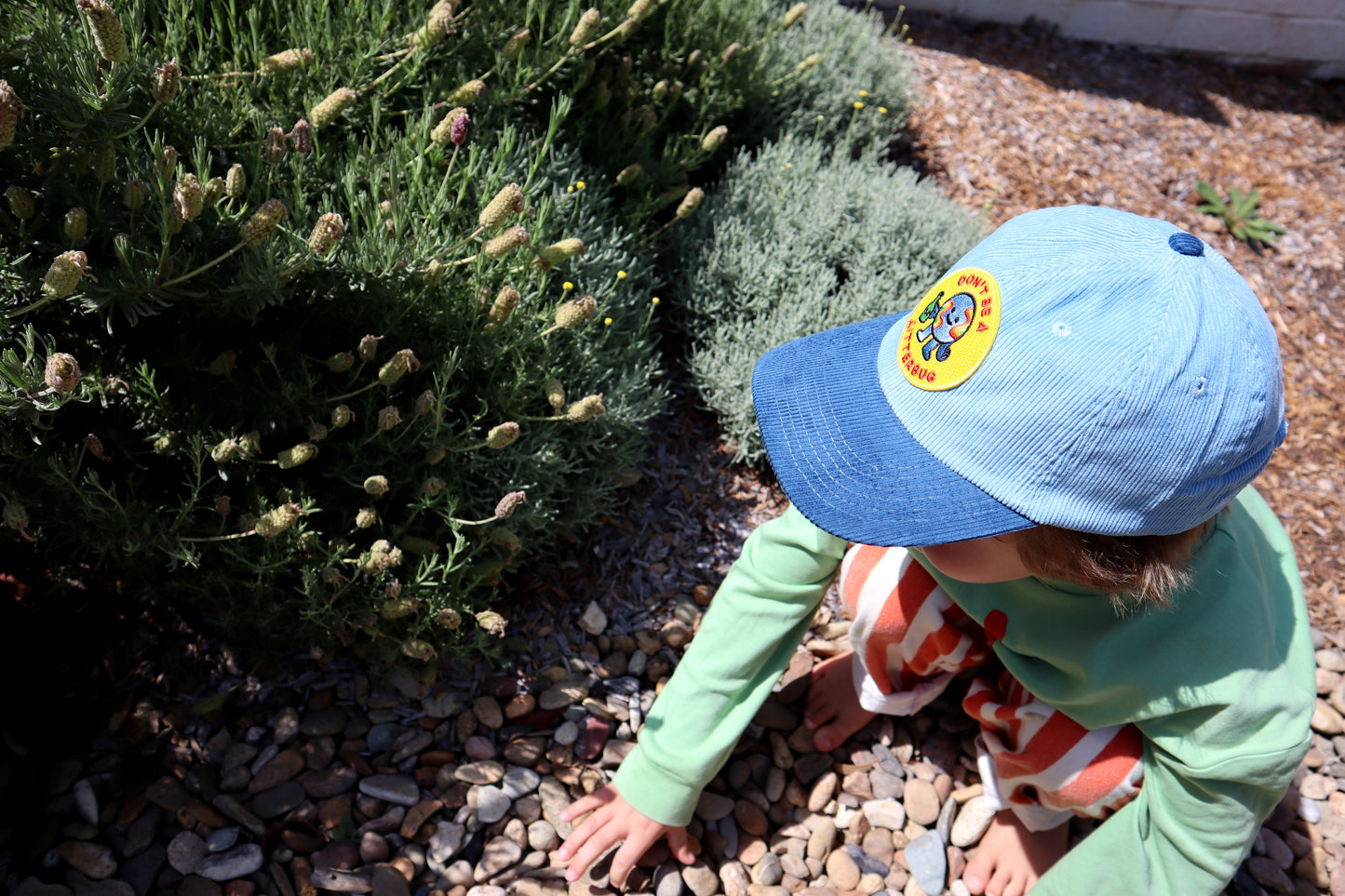 Don't Be A Litterbug by Carla Scotto